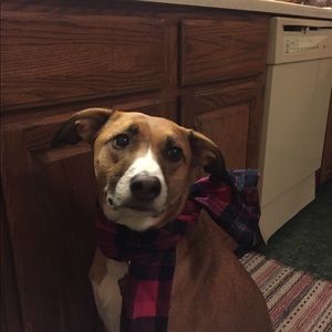 Meet your Posher, Kylie